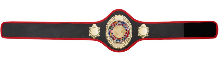 CHAMPIONSHIP BELT PRO286/G/WLDFLAGG - AVAILABLE IN 10+ COLOURS